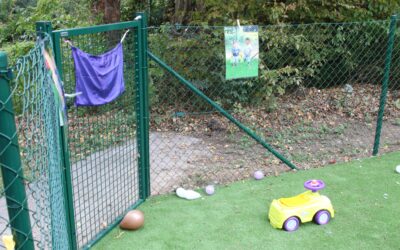 Le jardin de PAUL